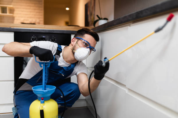 Best Flea Control Services  in Bushnell, IL