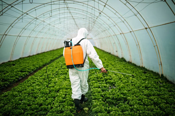 Best Mosquito Control Services  in Bushnell, IL