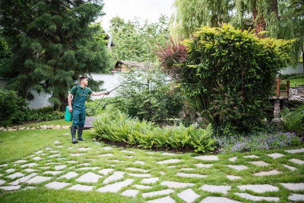 Best Wasp Removal Services  in Bushnell, IL