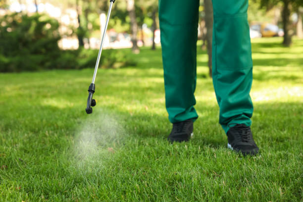 Best Rodent Control Near Me  in Bushnell, IL