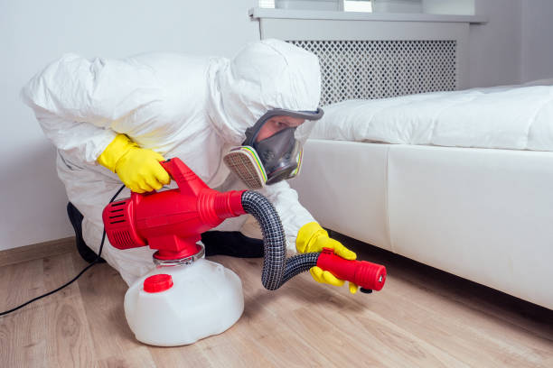 Best Termite Control Services  in Bushnell, IL