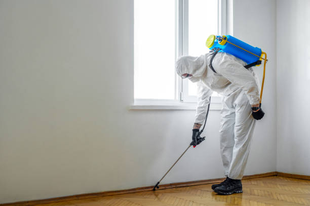 Best Pest Control Near Me  in Bushnell, IL
