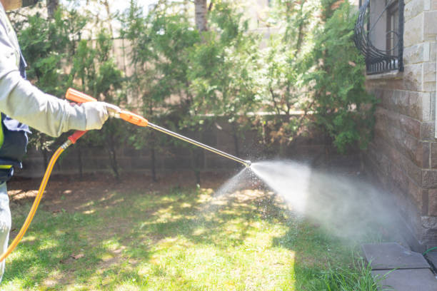 Best Residential Pest Control  in Bushnell, IL