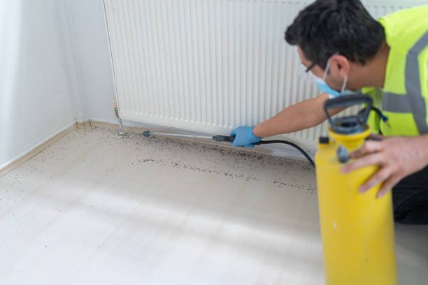 Best Exterminator Services  in Bushnell, IL