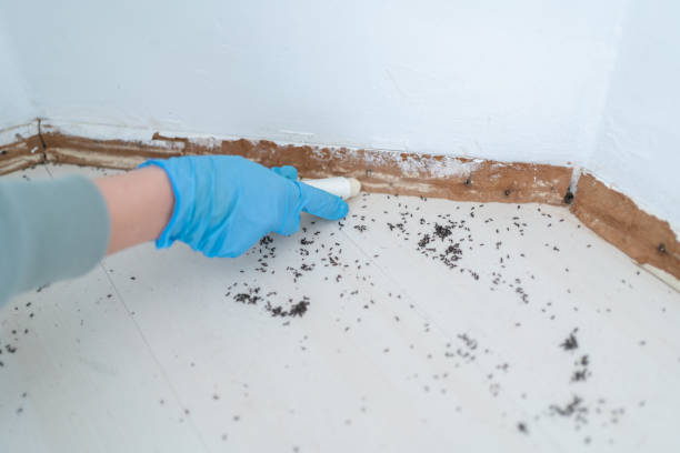 Best Pest Removal Services  in Bushnell, IL