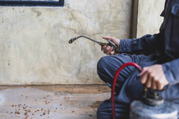 Best Pest Inspection Near Me  in Bushnell, IL